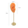 Miniatyrbild 5 av 5: 1/2/3 Örhänge Display Stand Human Ear Model Stud Holder Showcase Right Normal Skin Height: 18cm 1Set