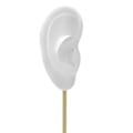 Miniatyrbild 4 av 5: 1/2/3 Örhänge Display Stand Human Ear Model Stud Holder Showcase Right Translucent Height: 18cm 1Set