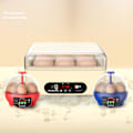 Miniatyrbild 5 av 5: Automatisk Intelligent Egg Incubator Hatcher Machine for Duck Automatic Turning