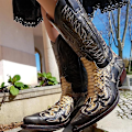 Miniatyrbillede 3 af 4: Farvede Broderier Python Western Støvler - Herresko