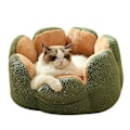 Miniatyrbillede 3 af 5: Pludset Grøn Kaktus Katte Nest