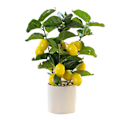 Miniatyrbild 8 av 8: Litet falskt citronträd för citrondekor Artificiellt citronträd med vit kruka Krukväxt Perfekt för kök Hem inomhus