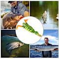 Miniatyrbild 7 av 8: Vattenyta Artificiell Simulering Ankfiske Lure Topwater Age med Propeller för Weever Catfish