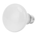 Miniatyrbillede 6 af 8: Dag & Nat Reptil Pære E27 Interface Multifunktionelt Varmt Blødt Lys Reptil Varmelampe Pære til Slange 110‑120V 75W