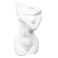 Miniatyrbillede 2 af 8: Feminine kurvevaser Unik moderne multifunktionel keramik Feminine kreative blomstervaser til hjemmet i stuen i soveværelset