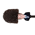 Miniatyrbild 4 av 8: Macron Toalettborste Rengöring Soft Borst Toalettskål Borste för djuprengöring av badrum