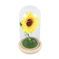 Miniatyrbillede 4 af 8: Simuleret Solsikke Glasdækning Dekoration Lysende LED Kunstig Evig Solsikke Glaskuppel til Kvinder