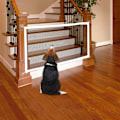 Miniatyrbillede 4 af 8: Hundegård Indendørs Isoleringsport Bærbar Sikkerhed Foldbar Indtrækbar Trappe Hundegård til Kat Hvid 28,3 X 70,9 tommer