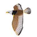 Miniatyrbild 2 av 8: Interaktiv kattleksak Naturtrogen örnform Ljudljus Automatisk fågelkattungeleksak för dörrväggtak