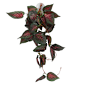 Miniatyrbilde 2 av 8: Reptilsimuleringsanlegg Dekorativ landskapsplanlegging Kunstig vintreet for reptilregnskog BoxNFF-85 Red Star Leaf