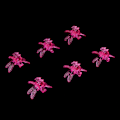 Miniatyrbillede 5 af 8: 100 stk Haveværktøjer Stængeklemmer Vokse Opret Orkide Plast Mini Stængler Blomsterrosa Rød