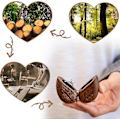 Miniatyrbild 4 av 5: Hjärtformad ringask i valnötsträ för bröllopspropositioner