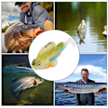 Miniatyrbilde 5 av 8: 3 stk Fat Head Kunstig Agnsvømmere Fiske Agnssett Fiskeutstyr Tilbehør 005