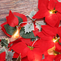 Miniatyrbild 6 av 8: LED Flower String Light 2m konstgjord röd blomma Fairy String Light för gräsmatta trädgård