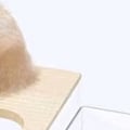 Miniatyrbild 3 av 5: Hamster Sandbad Duschlåda Transparent Hamster Sandbad Duschrum för smådjur Tillbehör Stor fyrkantig Massivträ Modell