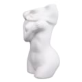 Miniatyrbillede 4 af 8: Feminine kurvevaser Unik moderne multifunktionel keramik Feminine kreative blomstervaser til hjemmet i stuen i soveværelset
