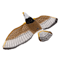Miniatyrbild 6 av 8: Interaktiv kattleksak Naturtrogen örnform Ljudljus Automatisk fågelkattungeleksak för dörrväggtak