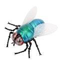 Miniatyrbild 3 av 8: Simulering Insect Fly Toy Infraröd Fjärrkontroll Sensing Portable
