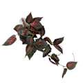 Miniatyrbilde 4 av 8: Reptilsimuleringsanlegg Dekorativ landskapsplanlegging Kunstig vintreet for reptilregnskog BoxNFF-85 Red Star Leaf