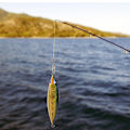 Miniatyrbilde 6 av 8: 150g Kunstig Fiske Agnslys Nattslys Simulert Fiske Agns Fiskeutstyr Tilbehør Grønn