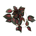Miniatyrbilde 6 av 8: Reptilsimuleringsanlegg Dekorativ landskapsplanlegging Kunstig vintreet for reptilregnskog BoxNFF-85 Red Star Leaf
