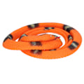 Miniatyrbillede 4 af 8: Simulerings slangemodel 130 cm naturtro Vivid Soft Touch Miljøvenlig slangemodel legetøj til over 3 år gammel Orange