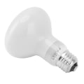 Miniatyrbillede 3 af 8: Dag & Nat Reptil Pære E27 Interface Multifunktionelt Varmt Blødt Lys Reptil Varmelampe Pære til Slange 110‑120V 75W
