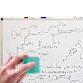 Pikkukuva 7 / 7: 30 kpl/setti Magneettiset valkotaulun pyyhkimet White Board Cleaner Dry Erase Marker Koulu- ja toimistotarvikkeet
