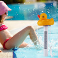 Miniatyrbillede 6 af 8: Tegnet Mini Flydende Vandtermometer til Swimmingpool Spas Fisk Tank Akvarium And