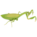 Pikkukuva 7 / 8: RC-Mantis - Lasten leikkikalu, simuloitu IR-ohjattava mantis, kepposteluun huhtikuun ensimmäisenä päivänä