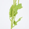 Miniatyrbilde 5 av 7: Kunstig blomst Dekorativ naturtro Elegant utseende Kunstig blomst for hjem stue bryllup gul