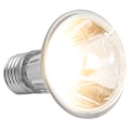 Miniatyrbillede 4 af 8: Reptil Solbad Varmelampe Pærer Amfibie UBA/UVB Solbad Lampe til Lizard 25W 110V