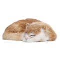 Miniatyrbillede 2 af 8: Plys Sovende Kat Figur Realistisk Simulering Fluffy Dekorativ Plys Sovende Kat Model til Hjemmekontor
