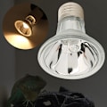 Miniatyrbillede 7 af 8: E27 220V Pet Reptil Halogen Spotlights Ful Spektrum Solbadslampe Glødepære UVA UVB(100W)