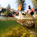 Miniatyrbilde 6 av 8: Simulering Mus Formet Harpiks Fiske Agnsoft Bait Tackle med Dobbel Treble Hookgul