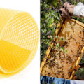 Pikkukuva 8 / 8: 10 kpl mehiläisvahaarkkia kynttilänvalmistukseen Luonnollinen mehiläisvaha Honeycomb Foundation -arkit lapsille ja aikuisille