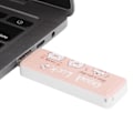 Miniatyrbilde 8 av 8: USB2.0 PushPull Flash-stasjon Minne Bedriftsgave Bil Datatilbehør (Lykkegris 128GB)