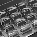 Miniatyrbillede 2 af 5: 2 stk. Skalskalsform i hård chokolade 3D Skalskals Polycarbonat Transparent Is Gele Slikform