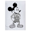 Miniatyrbilde 2 av 3: T-skjorte Mickey Mouse Tatovert M