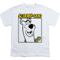 Pikkukuva 1 / 5: Nuorten Scooby-Doo -paita L