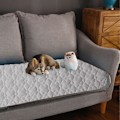 Miniatyrbild 5 av 5: Möbelskydd för hund katt vändbar hundbäddsskydd husdjur filt för säng soffa