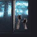 Miniatyrbild 2 av 10: 4 kpl Halloween-seinätarrat 3D Ghost Hand Set set Set
