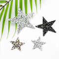 Miniatyrbild 5 av 10: Rhinestone Patches Tøj Tilbehør Hotfix SØLV 6CM silver 6cm