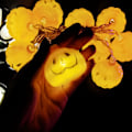 Miniatyrbild 4 av 9: Halloween LED String Light 10LED Halloween 04 04 04