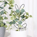 Miniatyrbild 4 av 10: Plantespalier Bladform Bracket SORT black