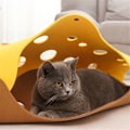 Miniatyrbild 7 av 10: Filt Pom Skjøting Cat Tunnel GRÅ-GUL GRÅ-GUL grey-yellow