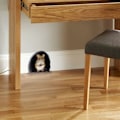 Miniatyrbild 7 av 10: 5kpl 3D-hiiritarra seinätarrat 04 04