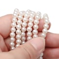 Miniatyrbild 5 av 10: Pearl Strap Bags Håndveske Håndtak 110CM 110cm