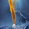 Miniatyrbild 8 av 10: 0,7/1,0/1,8/2,5/3,5/5g Blyhoved Krog Jigging Agn 1,0G 1,0G 1.0g