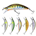Miniatyrbild 10 av 10: 2kpl Uppoavat Minnow Baits -kalakoukut A A A